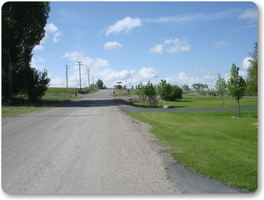 Road Infront of Home